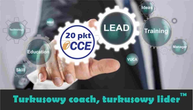 Turkusowy coach, turkusowy lider - Łódź